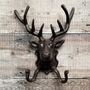 Pair Of Stanbridge Cast Iron Deer Stag Coat Hooks, thumbnail 4 of 6