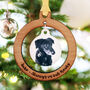 Pet Memorial Photo Decoration For A Lost Dog Or Cat, thumbnail 3 of 6