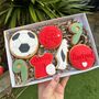 Football Fan Birthday Biscuit Gift Box, thumbnail 1 of 3