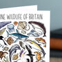 Marine Wildlife Of Britain Greeting Card, thumbnail 7 of 8