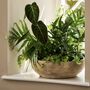 Antique Terracotta Plant Bowl, thumbnail 2 of 8