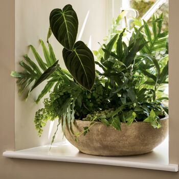 Antique Terracotta Plant Bowl, 2 of 8