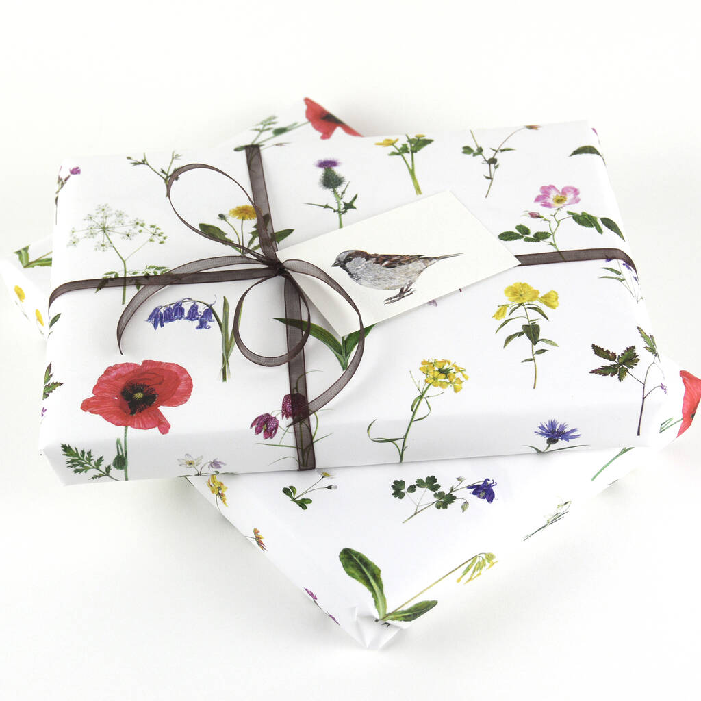 Wild Flowers Wrapping Paper By Naomi Stay