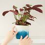 Handmade Felt Turquoise Ombre Plant Pot Cover, thumbnail 2 of 2
