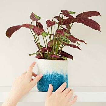 Handmade Felt Turquoise Ombre Plant Pot Cover, 2 of 2