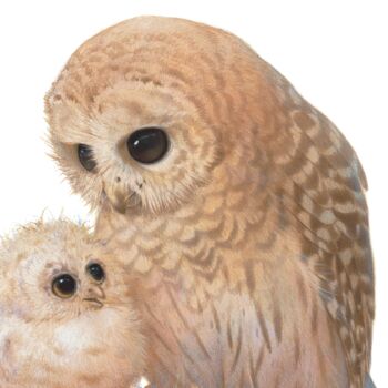 Illustrated Children's Wall Art Print Owl And Owlet, 2 of 4
