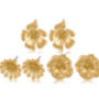 Gold Plated Sandrine Multi Pack Flower Stud Earrings, thumbnail 1 of 2