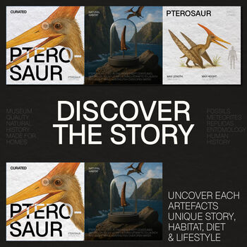 Pterosaur Dinosaur Tooth And Watercolour Illustration Box Frame Real Authentic Dinosaur Fossil Natural History Interior Design Home Decor Gift Ornament, 4 of 6