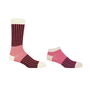 Oxford Stripe Burgundy Luxury Crew And Trainer Men Socks, thumbnail 2 of 5