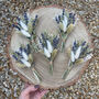 Dried Lavender Wedding Buttonhole, thumbnail 1 of 3