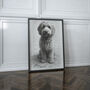Personalised Black And White Pencil Sketch Pet Portrait, thumbnail 5 of 7