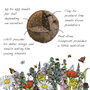 Wildflower Seeds Collection Pack Of Three, thumbnail 9 of 9