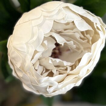 Real Feel Faux Peony Off White Stem, 2 of 5