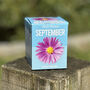 Grow Your Own Birth Flower Personalised Name Gift + Bag, thumbnail 8 of 8