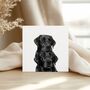 Hand Drawn Labrador Brothers Pet Greeting Card Illustration, thumbnail 1 of 5