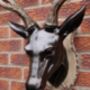 Wall Mounted Stag Head, thumbnail 4 of 4