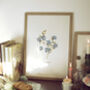 Blue Floral Forget Me Not Cottage Botanical Print, thumbnail 1 of 5
