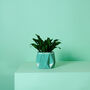 Origami Self Watering Eco Plant Pot: 11cm | Aqua, thumbnail 5 of 5