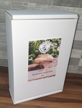 Shiitake Mushroom Log Dowel Kit, Gift Voucher Option, 2 of 8