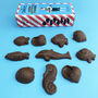 Mr Stanleys Salted Chocolate Fishes, thumbnail 1 of 2