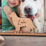 Personalised Dog Photo Frame Gift For Pets, thumbnail 2 of 6