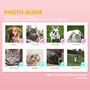 Personalised Pet Portrait Whimsical Animal Lover Gift, thumbnail 7 of 7