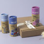 Wildflower And Herb Seeds Create Your Own Gift Set, thumbnail 1 of 12