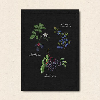 Botanical Art Postcard Pack, 7 of 7