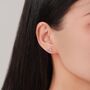 Sterling Silver Tiny Sword Fish Stud Earrings, thumbnail 7 of 12