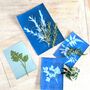 Sun Printing Cyanotype Kit, thumbnail 3 of 4
