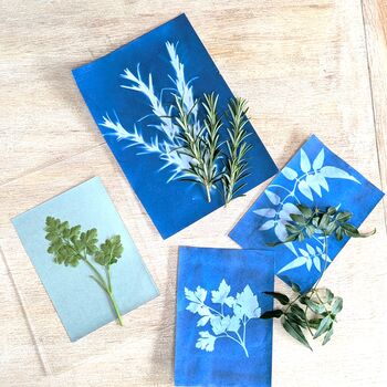 Sun Printing Cyanotype Kit, 3 of 4