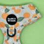 Adjustable Dog Harness | Oranges And Blossoms, thumbnail 2 of 5