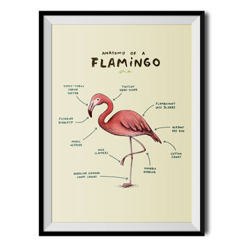 Anatomy Of A Flamingo Art Print By Sophie Corrigan By Wraptious ...