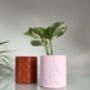 Personalised Name Plant Pot With Optional Inner Pot, thumbnail 1 of 8