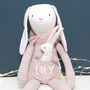 Personalised Bunny Rabbit And Baby Soft Toy, thumbnail 1 of 6
