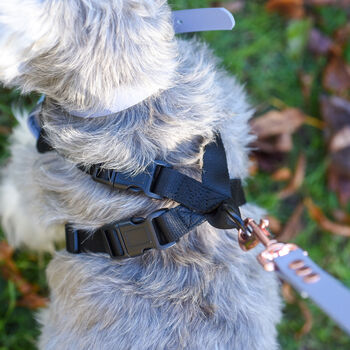 Elf Christmas Adjustable Dog Harness, 7 of 12