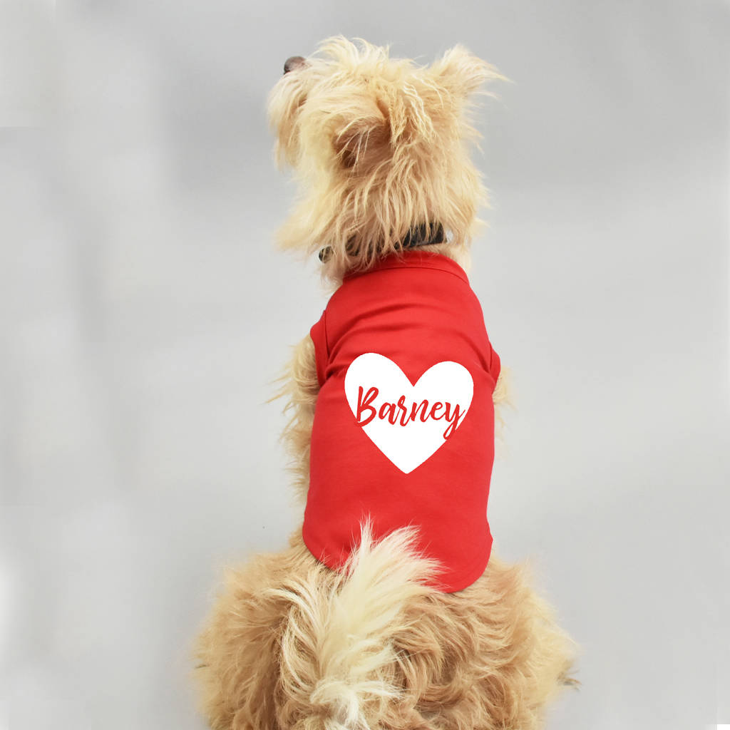 personalised dog jumper