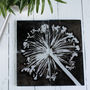 Bold Black And White Glass Coater Gift Set, thumbnail 1 of 2