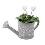 White Cyclamen Plant In Decorative Watering Can, thumbnail 2 of 3