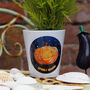 Personalised Light Up Pumpkin Plant Pot With Seeds, thumbnail 1 of 3