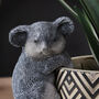 Koala Pot Hanger, thumbnail 3 of 3