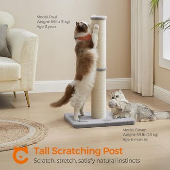 Cat Scratching Post With Spring Pompom And Sisal Pole, 2 of 10