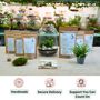 Closed Terrarium Kit With Live Plant | 'Luzern', thumbnail 5 of 10