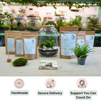 Closed Terrarium Kit With Live Plant | 'Luzern', 5 of 10
