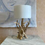 Branched Driftwood Table Lamps, thumbnail 5 of 8