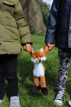 Foxy Dave Soft Plush Toy, From Birth, 7 of 7