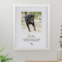 Personalised Pet Photo Upload Framed Print, thumbnail 8 of 12