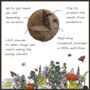 Bat Mix Wildflower Seeds Trick Or Treat Halloween Gift, thumbnail 8 of 10