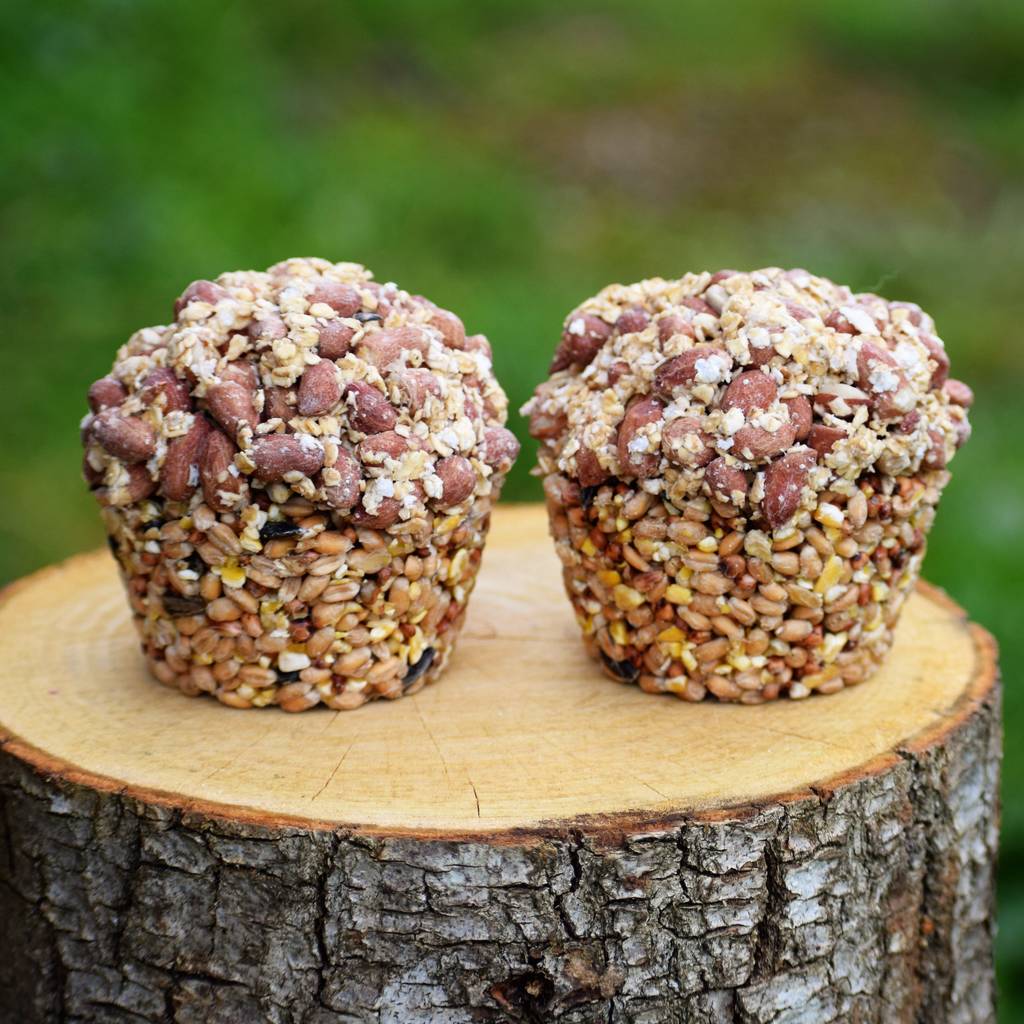 Bird Seed Cupcakes Gardener Gifts By The Bird Bakery