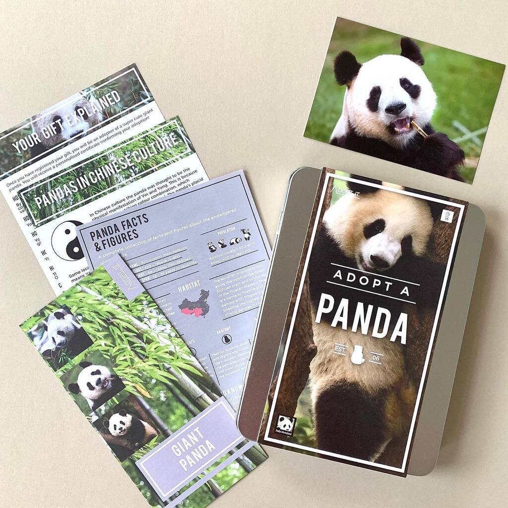 Adopt A Panda Gift Tin, 1 of 4